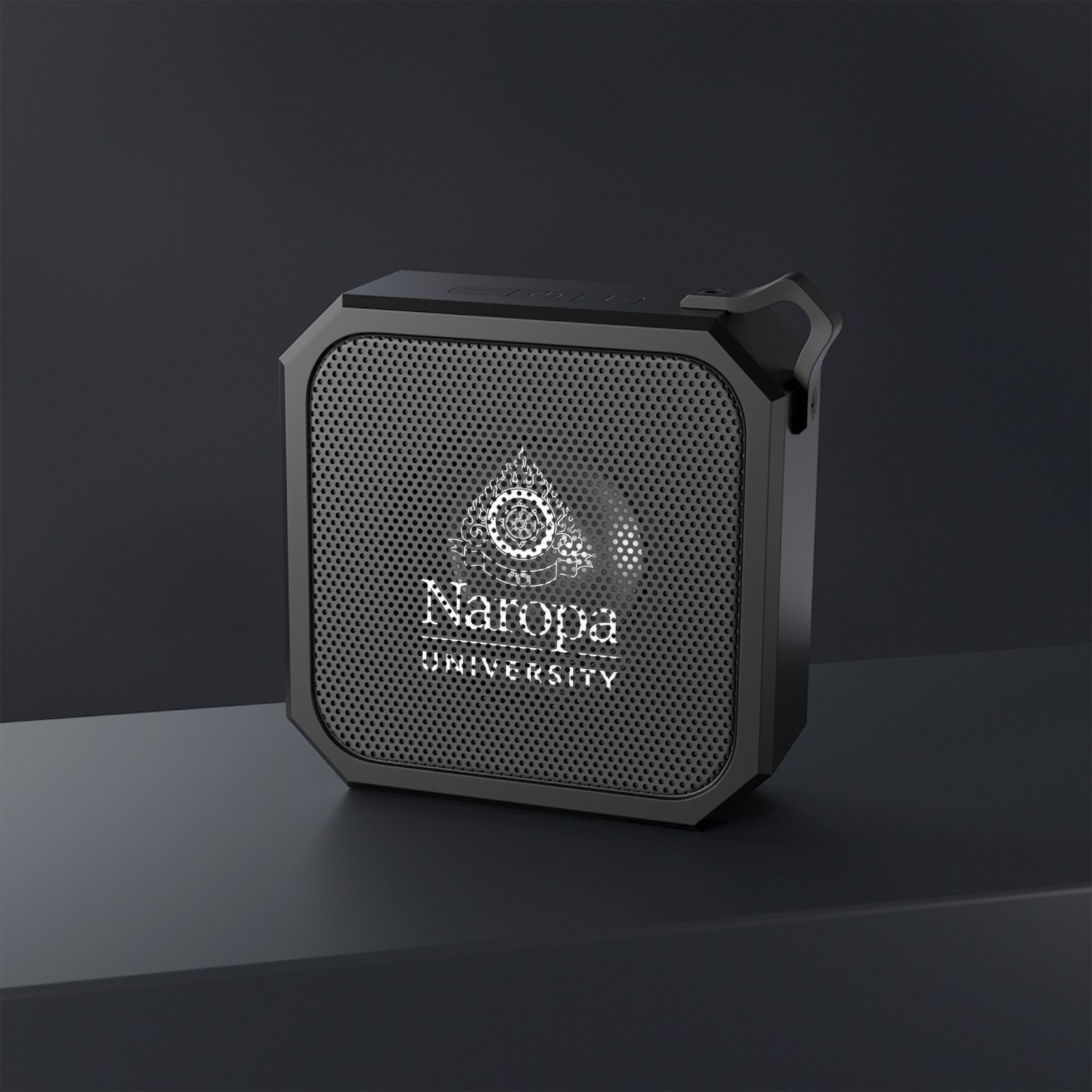 Outdoor Bluetooth Speaker — Naropa University Rugged Portable Speaker (Water-Resistant, Carabiner-Ready) - Image 4